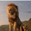 leone.102