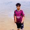 mahmoud.fawzy098