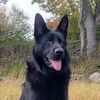 gsd_owner12