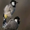 alaa00alaa7