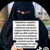 anisodahir257