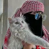nnosh_aliraqi