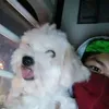 aianmarkbanquillo4
