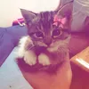 ma.dd.oun