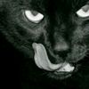 jaber_1134