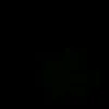 r7n0bot
