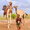 mohamedabdirahma21