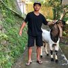 Animals gank👑
