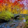 adelmahmood816