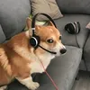 kwaka_000_