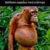 user8269044242674