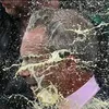 curiositykilledthecat108