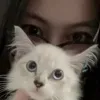 kitkattyyy_