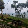 ayra_syifa_