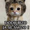 predragdajkovic