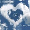 safiya_fd