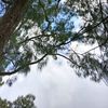rfqy_11