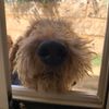 roony252_unused_account
