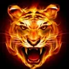 user1czxr6hajv