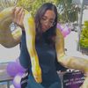 shan_bj108
