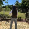 roberthakpereira