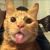 mixzz_25