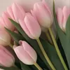 nimarasheednabi18