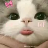user30u2znqzmj
