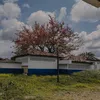 isaias.mw