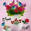 fatimazahra0558