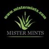 _mistermints_