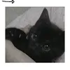 your_sleeparalysis_dem0n