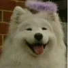 karma.wcue