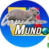 capibaramundonoti