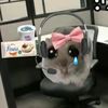 ayachaiteacoffee