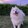 mochieegwg