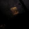 calebdi_013