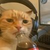 kevinalkafff