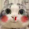 userzdxff4sdz6