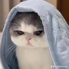 baonamnguyendinh4