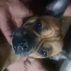ronaldvicencio84