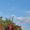 elioenaicosta968