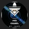 MD Pro