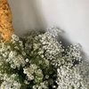 .hellogirl0