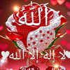 .ommahany.sorkar
