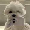 dyannneee16