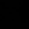 fletti81