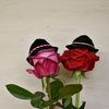 user87f9tu79hh