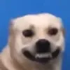 399799999lll