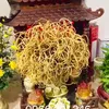 Nhang Trầm Thiên Trường
